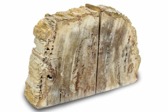 Petrified Wood (Tropical Hardwood) Bookends - Indonesia #266195